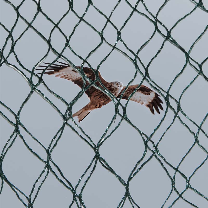 पक्षी प्रतिबंधक जाळीचे भौतिक पर्याय आणि फायदे आणि तोटे काय आहेत?