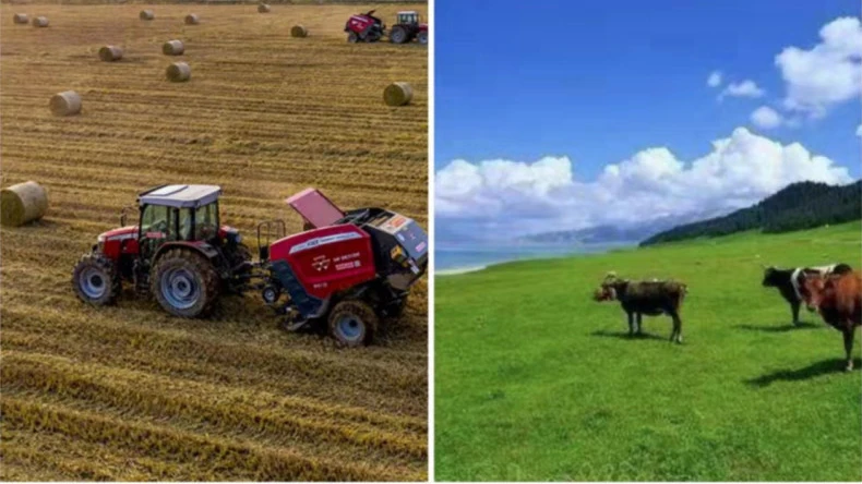 कृषी क्रियाकलापांमध्ये बेल नेट रॅपचा वापर