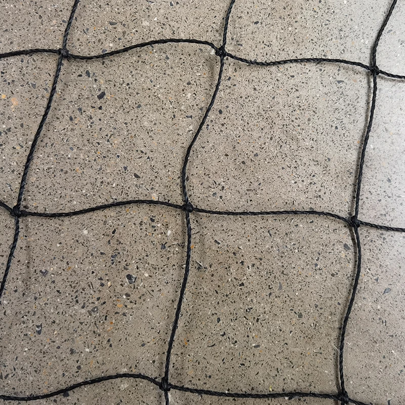 क्रिकेट नेटची भूमिका