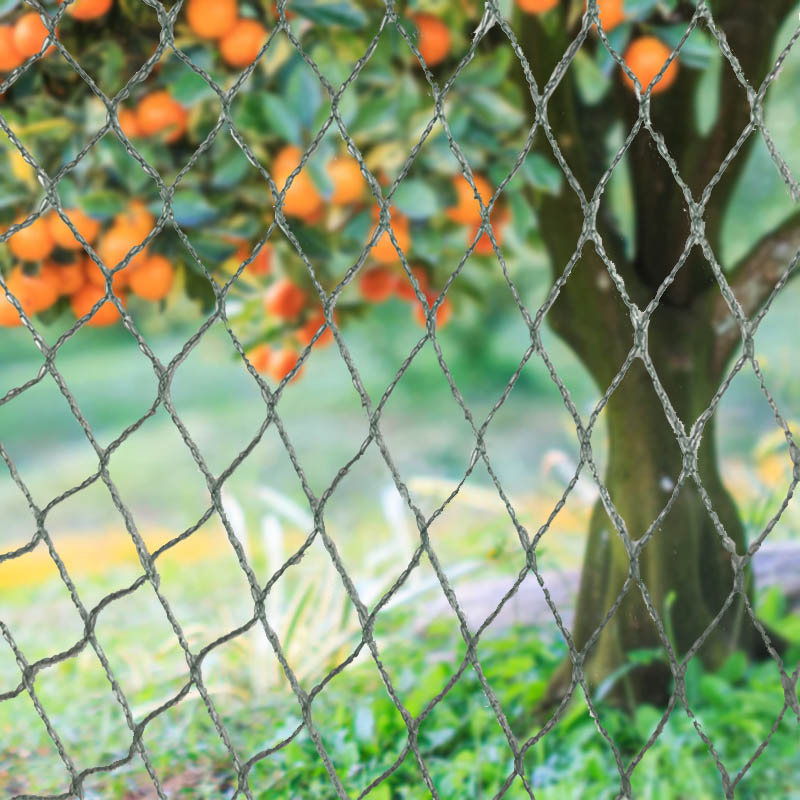 आमच्या हेवी-ड्यूटी बर्ड नेटिंगसह तुमची पिके, मालमत्ता आणि गुंतवणूकीचे रक्षण करा!