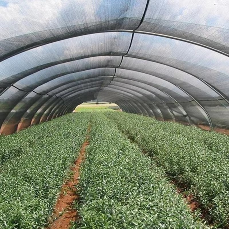 झाडांसाठी गार्डन शेड कापड 40% सूर्यप्रकाश अवरोधित