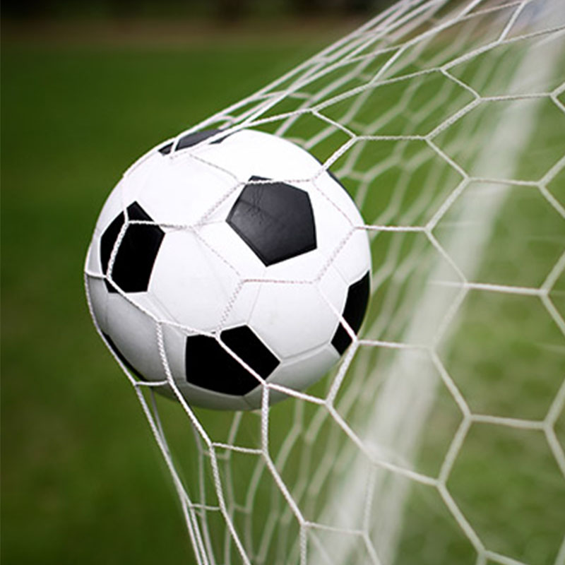 सॉकर फील्ड नेट